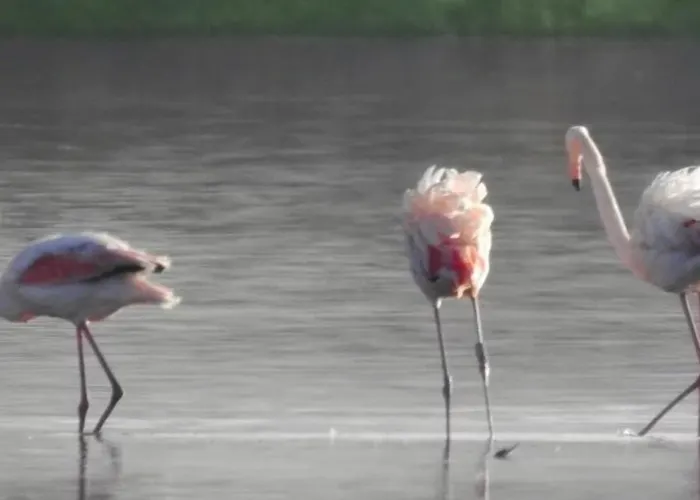 Apartment Casa Marana