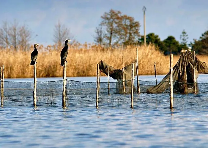 Casa Marana Apartment